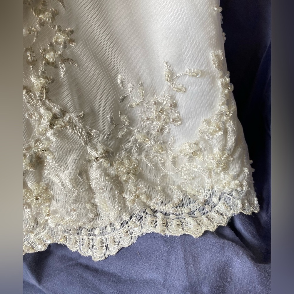 Size 0 Wedding Dress - Picture 16 of 17